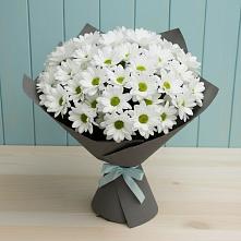 Букет цветов из:  Хризантемы #REPLACE_PRED# Балаково