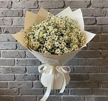 Букет цветов из:  Ромашки в Балаково