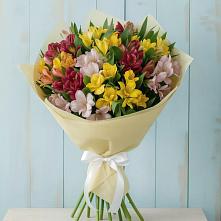 Букет цветов из:  Альстромерии #REPLACE_PRED# Балаково