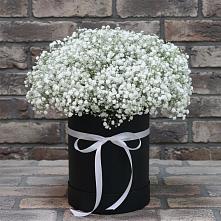 Цветочная композиция из Гипсофила в шляпной коробке в Балаково