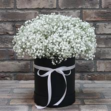 Цветочная композиция из Гипсофила в шляпной коробке в Балаково