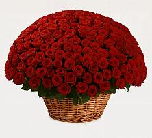 Премиум букет из: Розы в Балаково