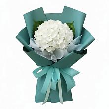 Букет цветов из:  Гортензия в Балаково
